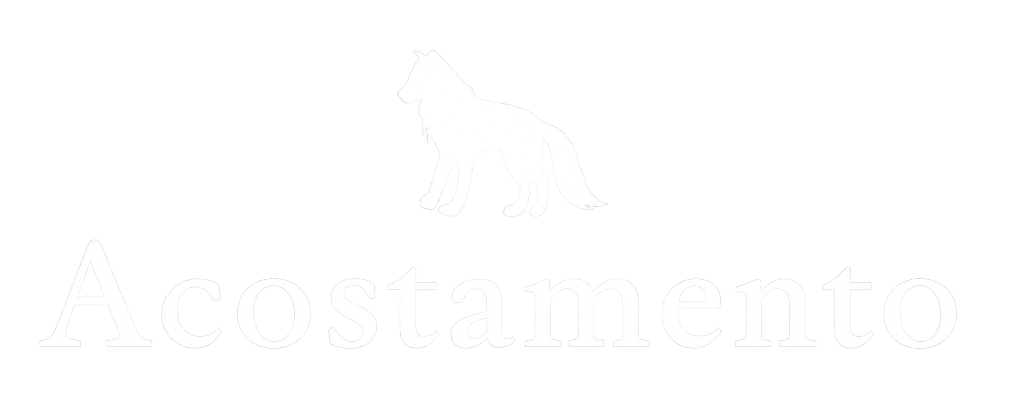 Logo Acostamento e1781620777543