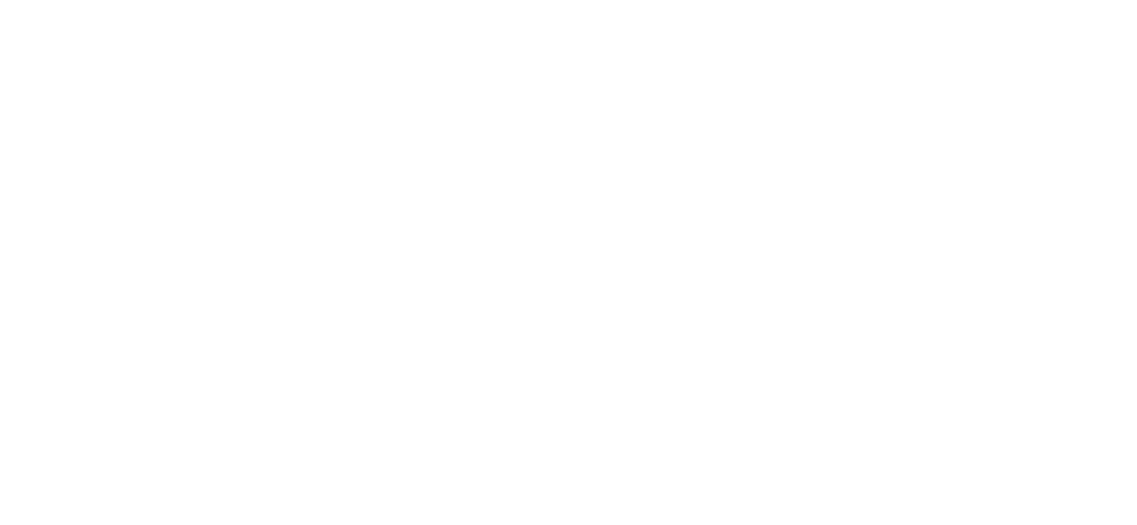 Tribunal Superior Eleitoral 1